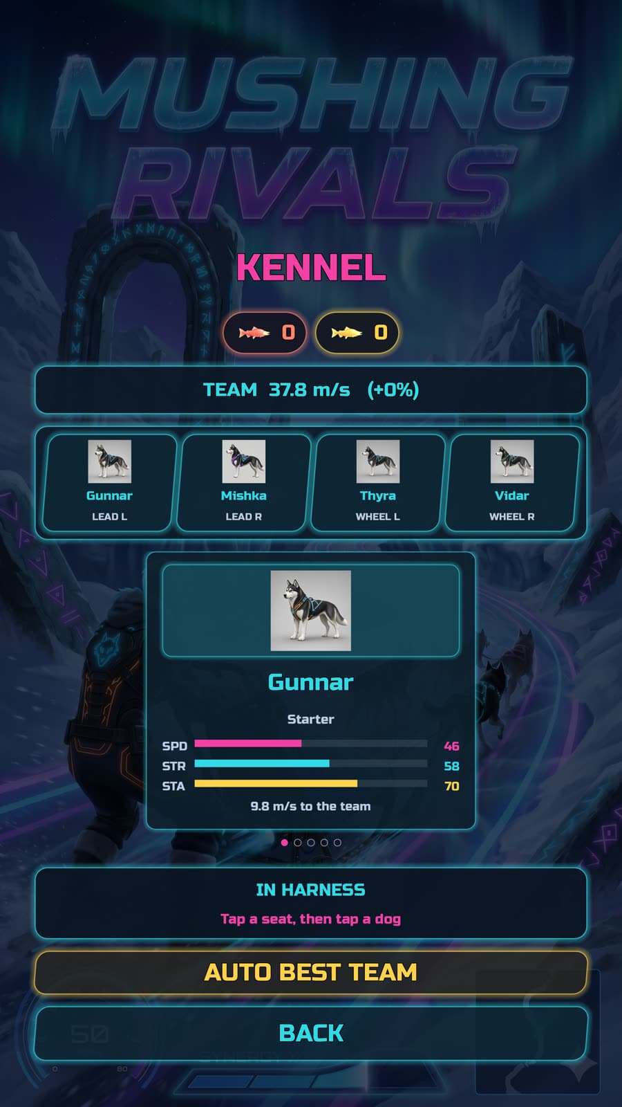 The kennel: choosing which four dogs go in harness